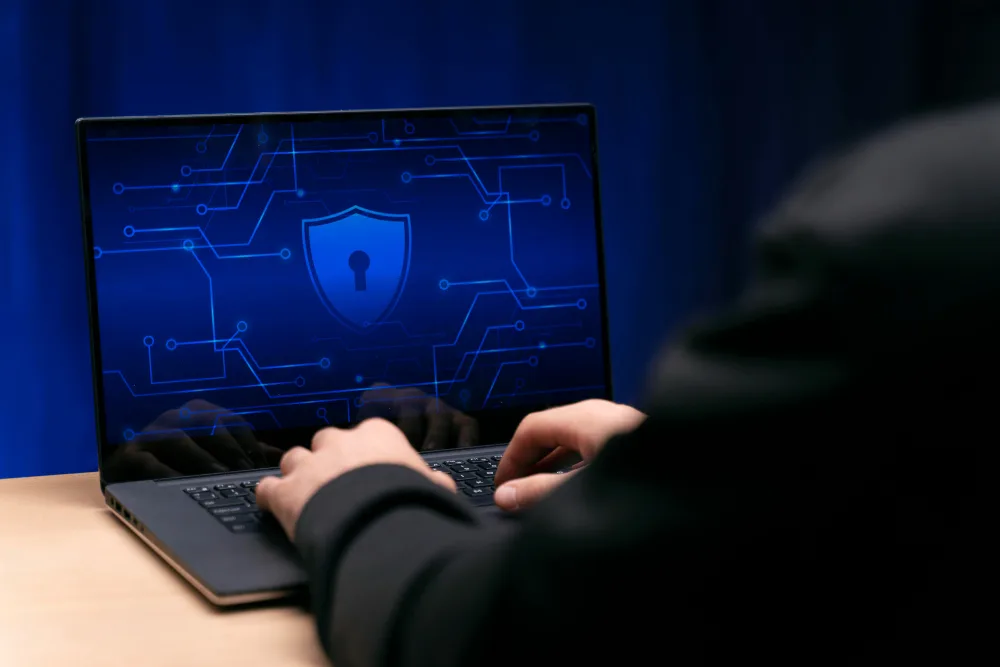 What Is Security Guard Software and How Does It Work?