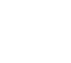 Security gate